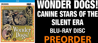 Wonder Dogs BD